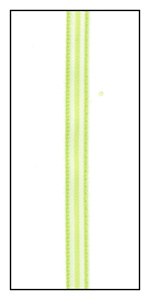 Lime and White Pinstripe Ribbon 5mm